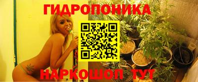a pvp Татарск