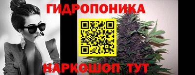 сатива Тверь