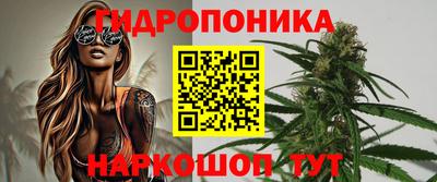 сатива Тверь
