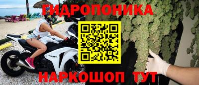 сатива Тверь
