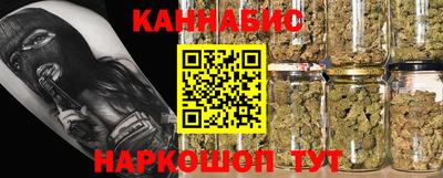 сатива Тверь