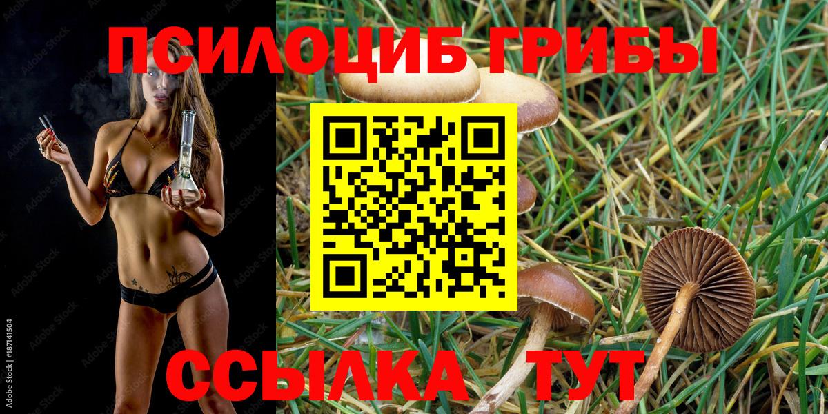 наркотики  Псилоцибиновые грибы ЛСД  Вход с VPN  Назарово  Галлюциногенные грибы Magic Shrooms 
