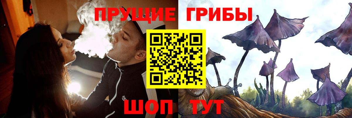 Галлюциногенные грибы Psilocybe Назарово